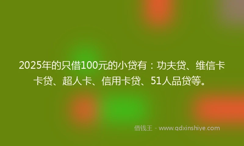 2025年的只借100元的小贷有：功夫贷、维信卡卡贷、超人卡、信用卡贷、51人品贷等。