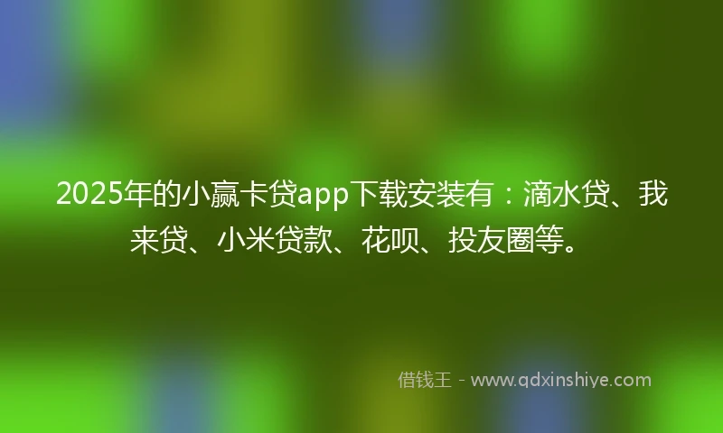 2025年的小赢卡贷app下载安装有：滴水贷、我来贷、小米贷款、花呗、投友圈等。