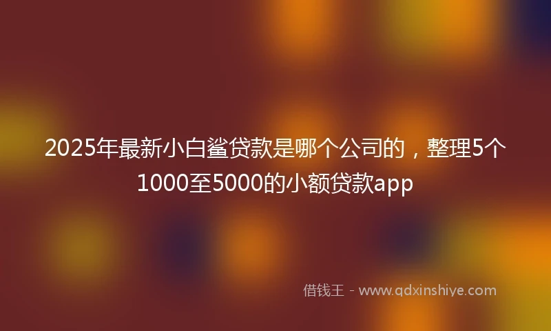 2025年最新小白鲨贷款是哪个公司的，整理5个1000至5000的小额贷款app