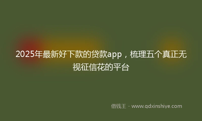 2025年最新好下款的贷款app，梳理五个真正无视征信花的平台