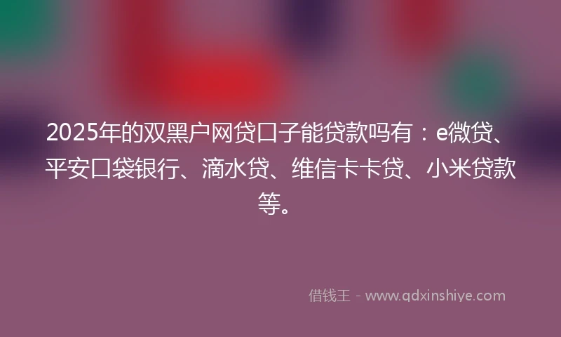 2025年的双黑户网贷口子能贷款吗有：e微贷、平安口袋银行、滴水贷、维信卡卡贷、小米贷款等。