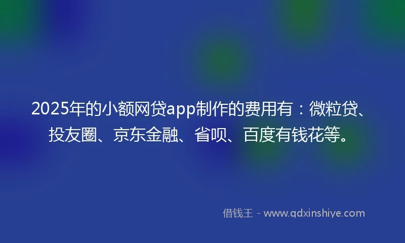 2025年的小额网贷app制作的费用有：微粒贷、投友圈、京东金融、省呗、百度有钱花等。