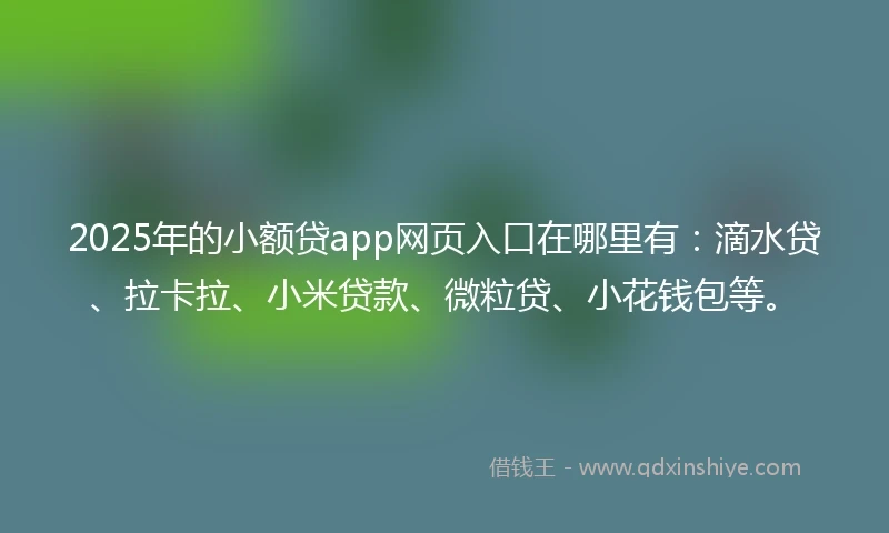 2025年的小额贷app网页入口在哪里有：滴水贷、拉卡拉、小米贷款、微粒贷、小花钱包等。