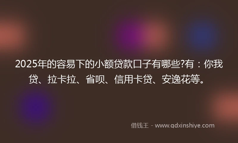 2025年的容易下的小额贷款口子有哪些?有：你我贷、拉卡拉、省呗、信用卡贷、安逸花等。