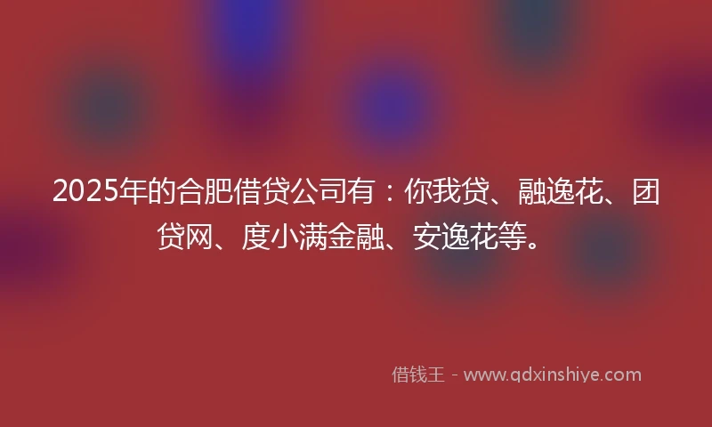 2025年的合肥借贷公司有：你我贷、融逸花、团贷网、度小满金融、安逸花等。