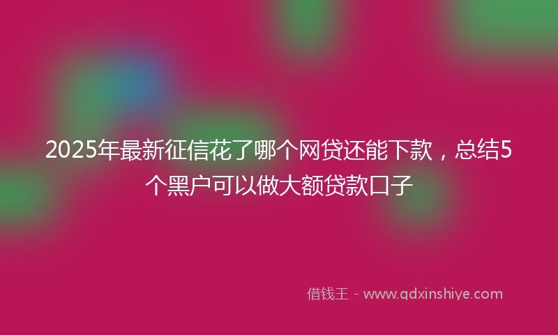 2025年最新征信花了哪个网贷还能下款，总结5个黑户可以做大额贷款口子