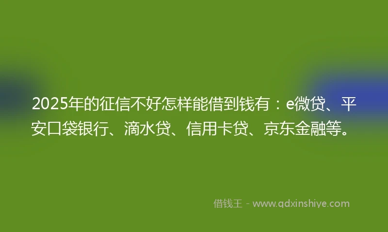2025年的征信不好怎样能借到钱有：e微贷、平安口袋银行、滴水贷、信用卡贷、京东金融等。