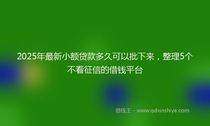 2025年最新小额贷款多久可以批下来，整理5个不看征信的借钱平台