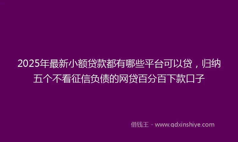 2025年最新小额贷款都有哪些平台可以贷，归纳五个不看征信负债的网贷百分百下款口子