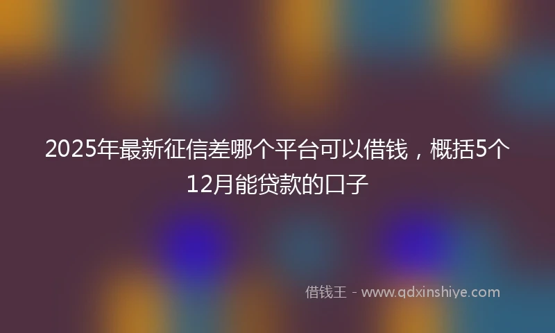 2025年最新征信差哪个平台可以借钱，概括5个12月能贷款的口子