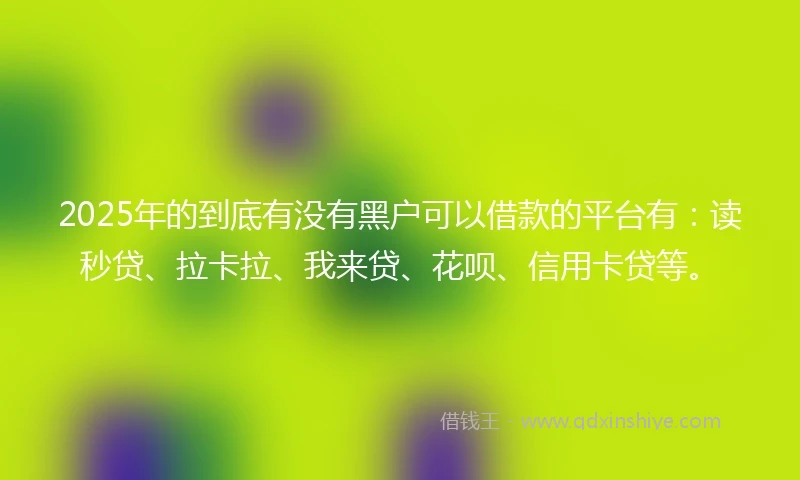 2025年的到底有没有黑户可以借款的平台有：读秒贷、拉卡拉、我来贷、花呗、信用卡贷等。