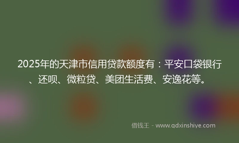2025年的天津市信用贷款额度有：平安口袋银行、还呗、微粒贷、美团生活费、安逸花等。