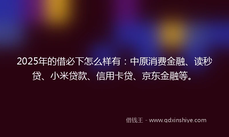 2025年的借必下怎么样有：中原消费金融、读秒贷、小米贷款、信用卡贷、京东金融等。