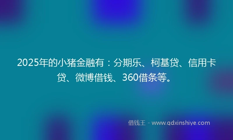 2025年的小猪金融有：分期乐、柯基贷、信用卡贷、微博借钱、360借条等。