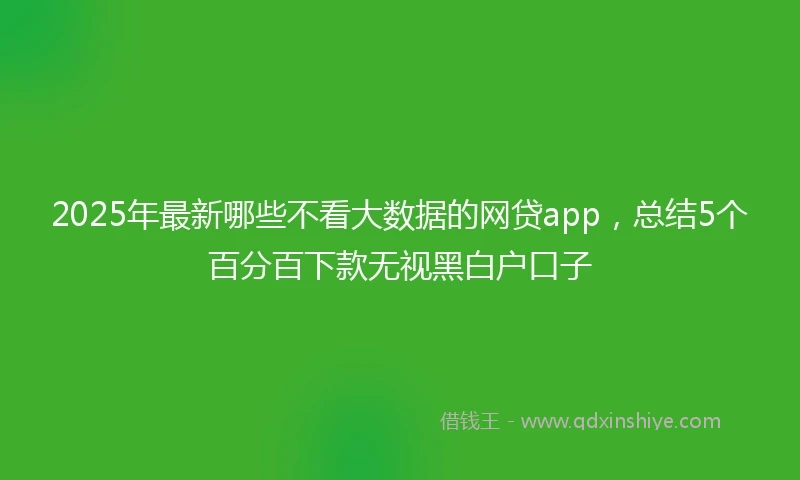 2025年最新哪些不看大数据的网贷app，总结5个百分百下款无视黑白户口子