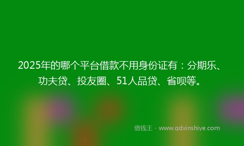2025年的哪个平台借款不用身份证有：分期乐、功夫贷、投友圈、51人品贷、省呗等。
