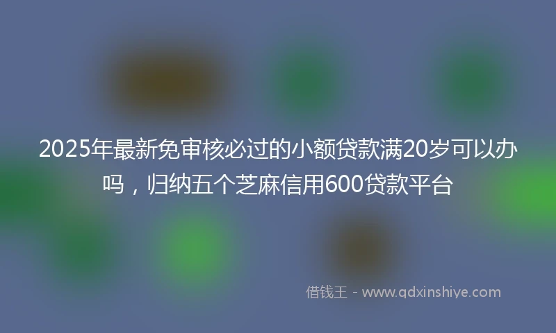 2025年最新免审核必过的小额贷款满20岁可以办吗，归纳五个芝麻信用600贷款平台