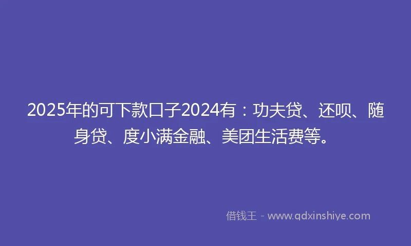 2025年的可下款口子2024有：功夫贷、还呗、随身贷、度小满金融、美团生活费等。