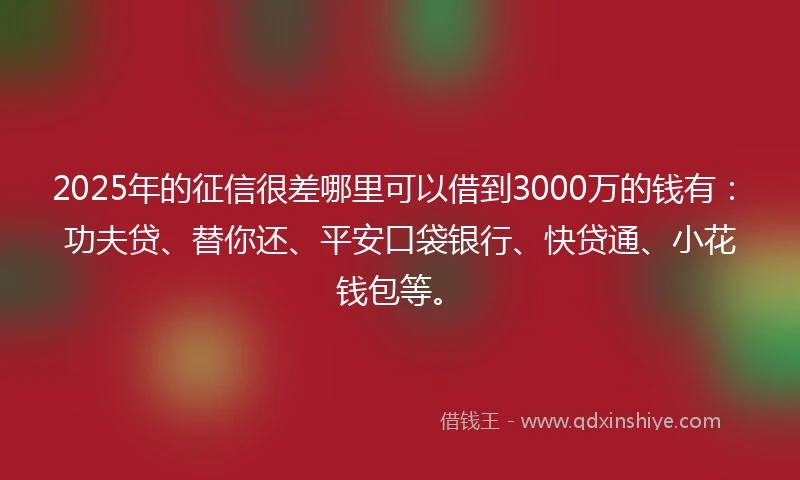 2025年的征信很差哪里可以借到3000万的钱有：功夫贷、替你还、平安口袋银行、快贷通、小花钱包等。