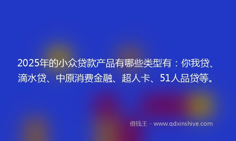 2025年的小众贷款产品有哪些类型有：你我贷、滴水贷、中原消费金融、超人卡、51人品贷等。