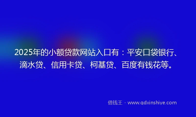 2025年的小额贷款网站入口有：平安口袋银行、滴水贷、信用卡贷、柯基贷、百度有钱花等。