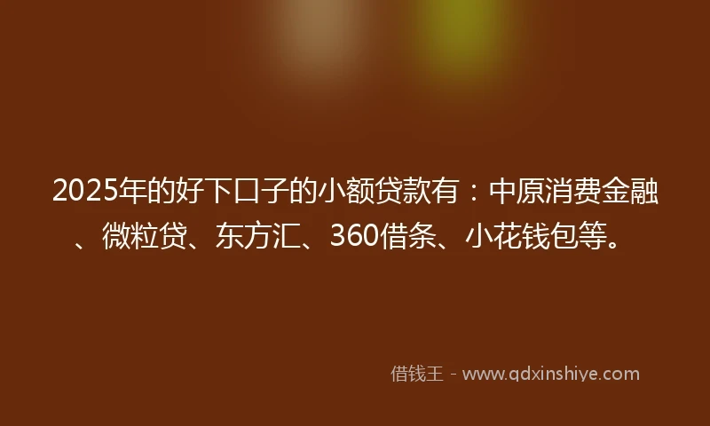 2025年的好下口子的小额贷款有：中原消费金融、微粒贷、东方汇、360借条、小花钱包等。
