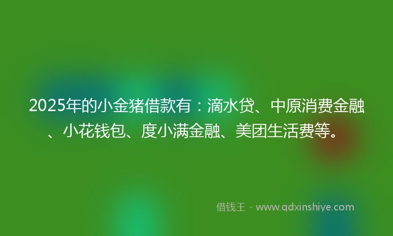 2025年的小金猪借款有：滴水贷、中原消费金融、小花钱包、度小满金融、美团生活费等。