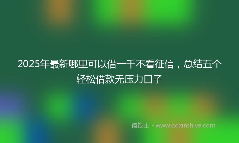 2025年最新哪里可以借一千不看征信，总结五个轻松借款无压力口子