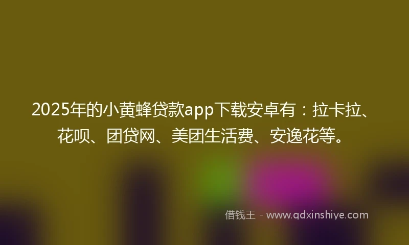 2025年的小黄蜂贷款app下载安卓有：拉卡拉、花呗、团贷网、美团生活费、安逸花等。