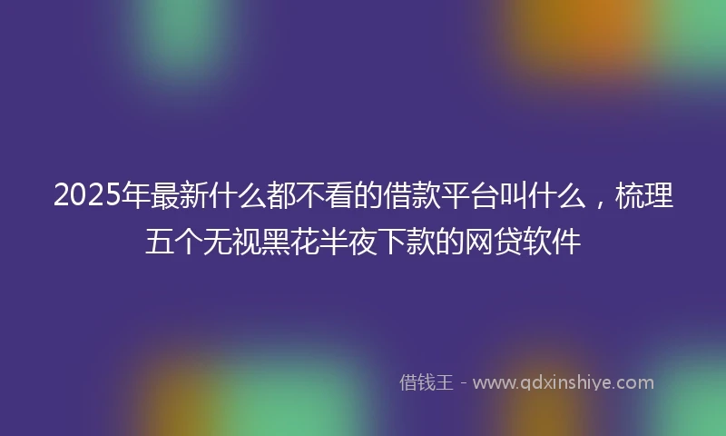 2025年最新什么都不看的借款平台叫什么，梳理五个无视黑花半夜下款的网贷软件