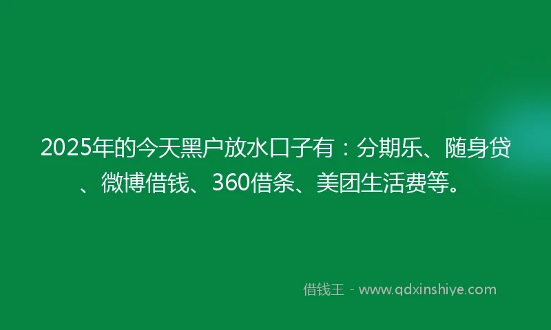 2025年的今天黑户放水口子有：分期乐、随身贷、微博借钱、360借条、美团生活费等。