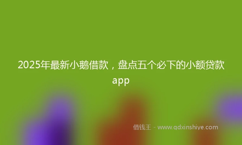 2025年最新小鹅借款，盘点五个必下的小额贷款app