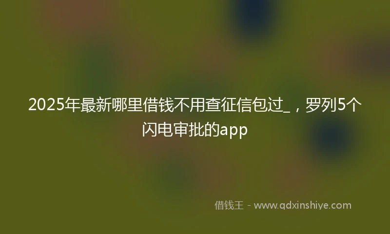 2025年最新哪里借钱不用查征信包过_，罗列5个闪电审批的app