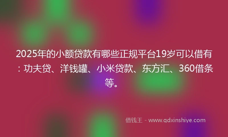 2025年的小额贷款有哪些正规平台19岁可以借有：功夫贷、洋钱罐、小米贷款、东方汇、360借条等。