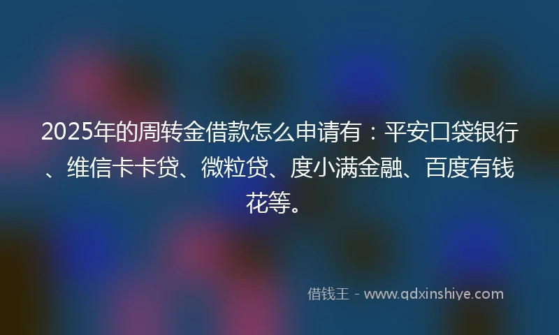 2025年的周转金借款怎么申请有：平安口袋银行、维信卡卡贷、微粒贷、度小满金融、百度有钱花等。