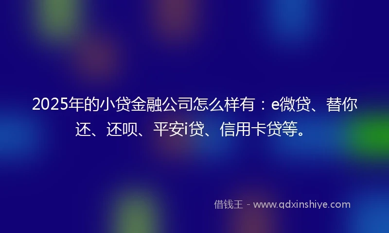 2025年的小贷金融公司怎么样有：e微贷、替你还、还呗、平安i贷、信用卡贷等。