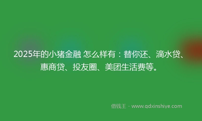 2025年的小猪金融 怎么样有：替你还、滴水贷、惠商贷、投友圈、美团生活费等。