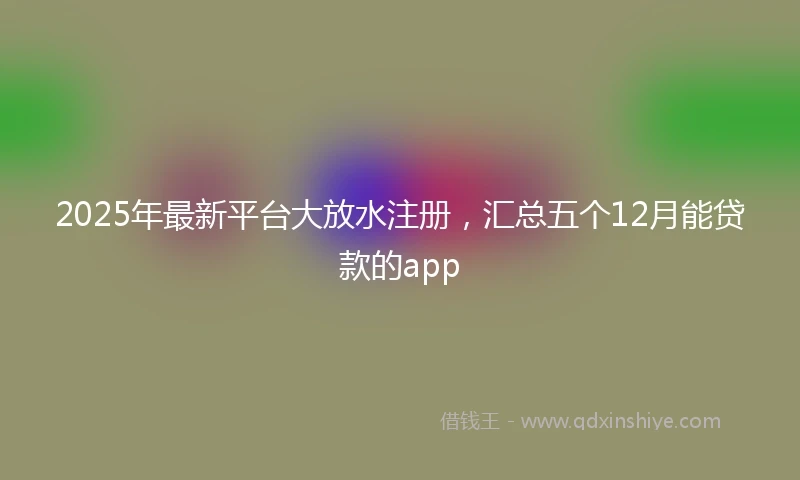 2025年最新平台大放水注册，汇总五个12月能贷款的app