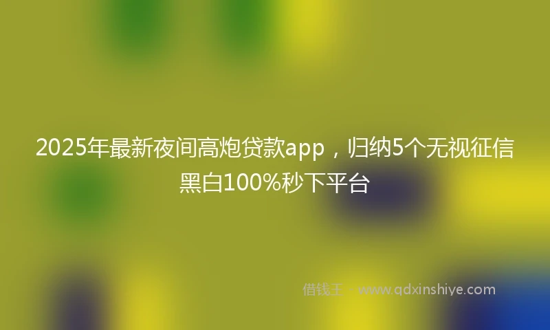 2025年最新夜间高炮贷款app，归纳5个无视征信黑白100%秒下平台