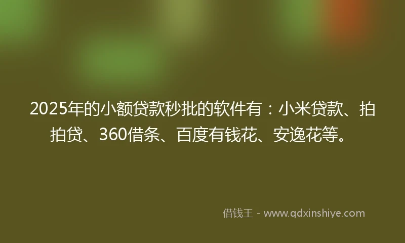 2025年的小额贷款秒批的软件有：小米贷款、拍拍贷、360借条、百度有钱花、安逸花等。