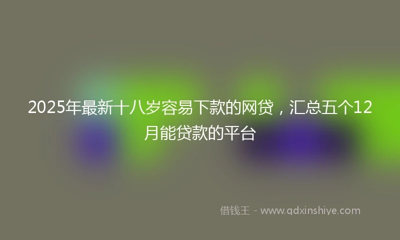 2025年最新十八岁容易下款的网贷，汇总五个12月能贷款的平台