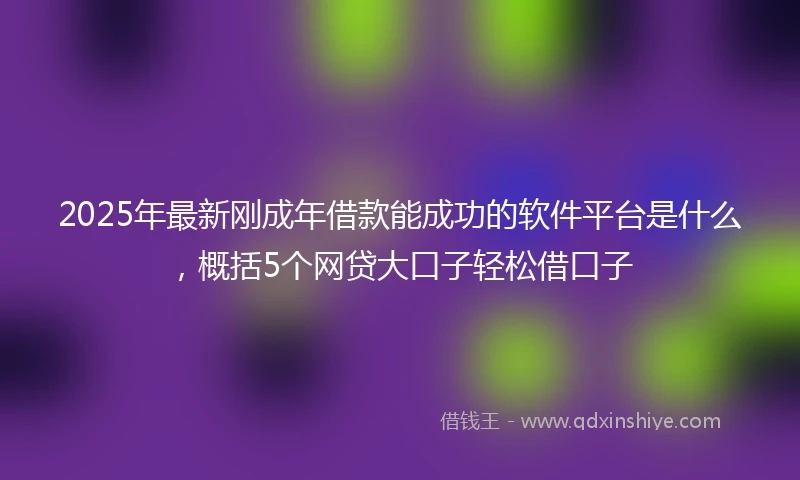 2025年最新刚成年借款能成功的软件平台是什么，概括5个网贷大口子轻松借口子