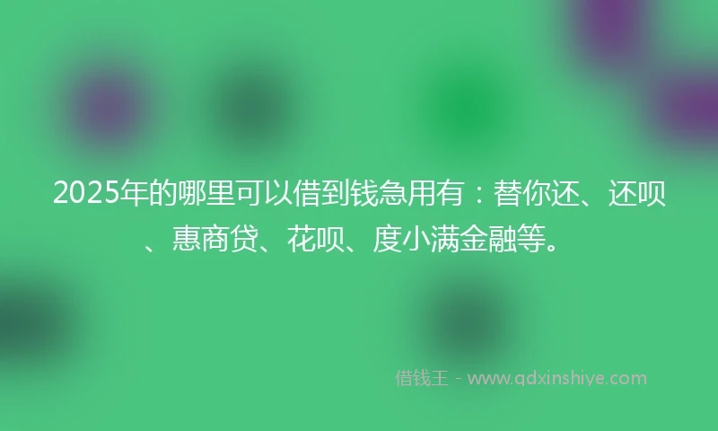 2025年的哪里可以借到钱急用有：替你还、还呗、惠商贷、花呗、度小满金融等。