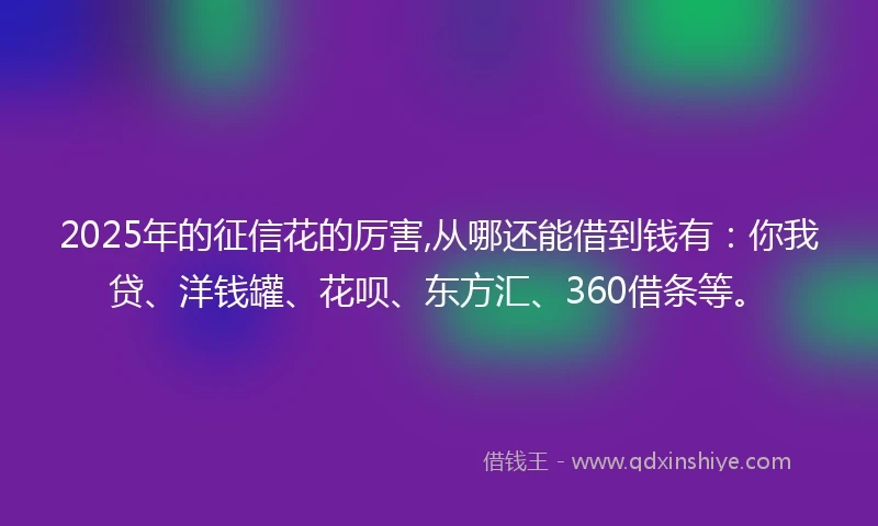 2025年的征信花的厉害,从哪还能借到钱有：你我贷、洋钱罐、花呗、东方汇、360借条等。