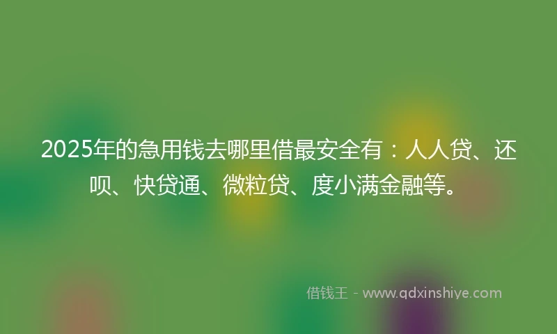 2025年的急用钱去哪里借最安全有：人人贷、还呗、快贷通、微粒贷、度小满金融等。
