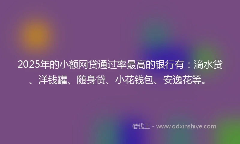 2025年的小额网贷通过率最高的银行有：滴水贷、洋钱罐、随身贷、小花钱包、安逸花等。
