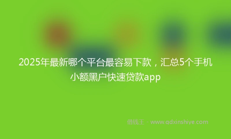 2025年最新哪个平台最容易下款，汇总5个手机小额黑户快速贷款app