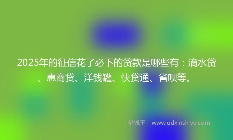 2025年的征信花了必下的贷款是哪些有：滴水贷、惠商贷、洋钱罐、快贷通、省呗等。