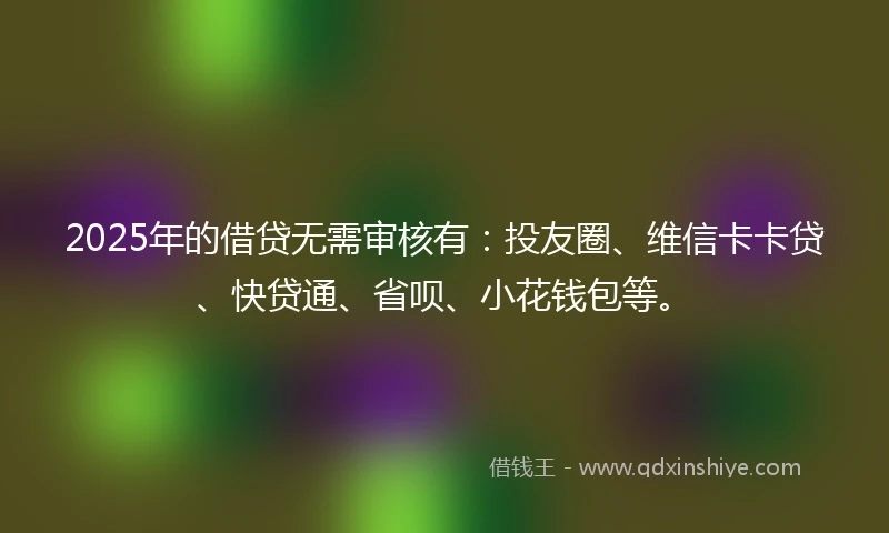 2025年的借贷无需审核有：投友圈、维信卡卡贷、快贷通、省呗、小花钱包等。