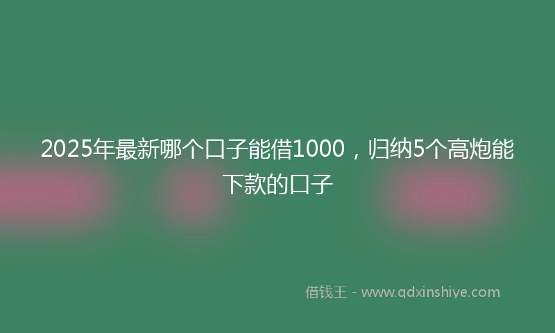 2025年最新哪个口子能借1000，归纳5个高炮能下款的口子
